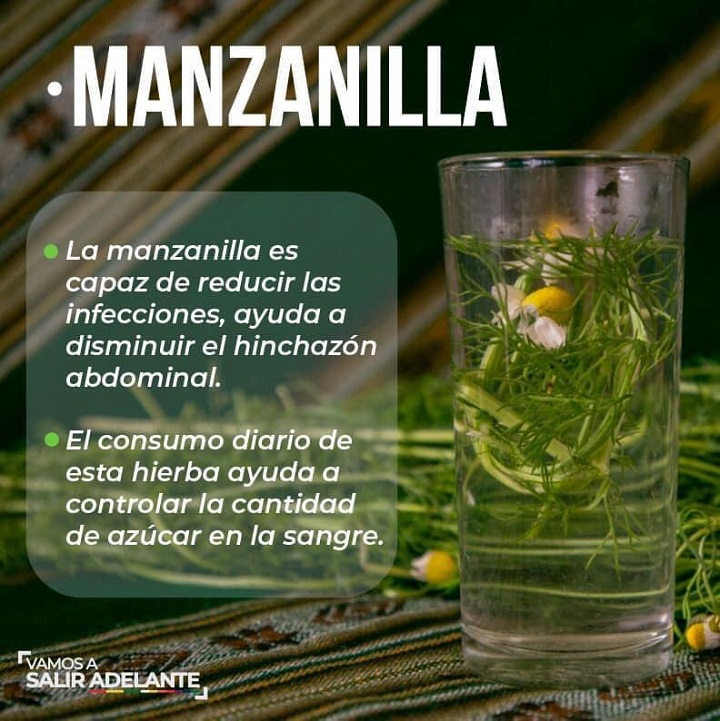 Hierba Manzanilla Natural